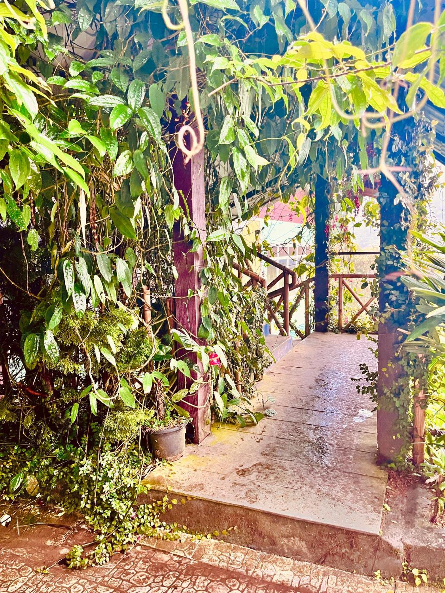 Munnar Tea Estate Cottage And Resort - Away From City Hustle Exteriör bild